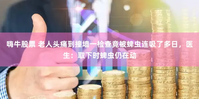 嗨牛股票 老人头痛到撞墙一检查竟被蜱虫连吸了多日，医生：取下时蜱虫仍在动