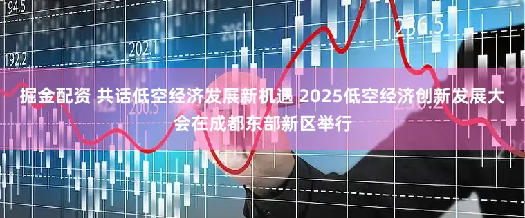 掘金配资 共话低空经济发展新机遇 2025低空经济创新发展大会在成都东部新区举行