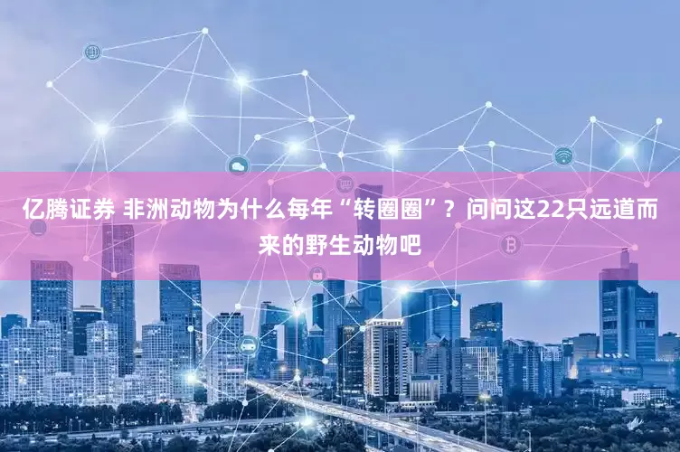 亿腾证券 非洲动物为什么每年“转圈圈”？问问这22只远道而来的野生动物吧
