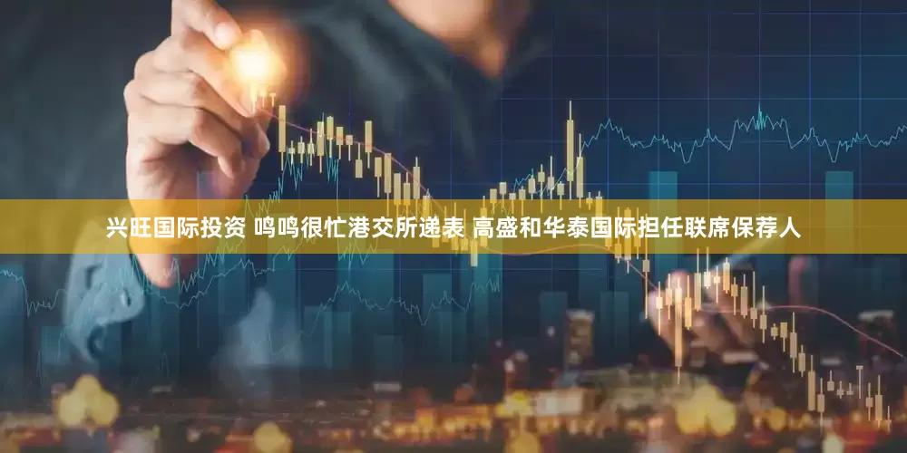 兴旺国际投资 鸣鸣很忙港交所递表 高盛和华泰国际担任联席保荐人