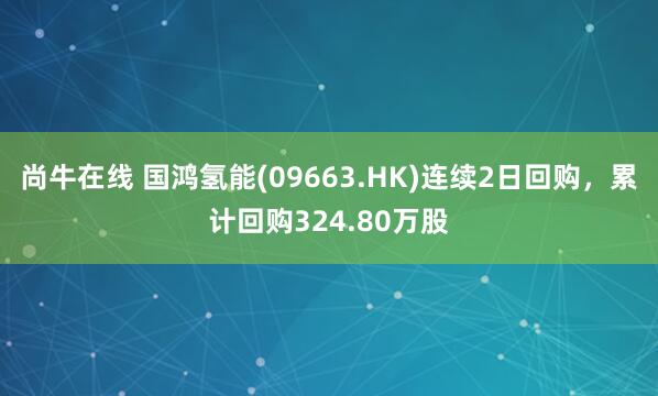 尚牛在线 国鸿氢能(09663.HK)连续2日回购，累计回购324.80万股