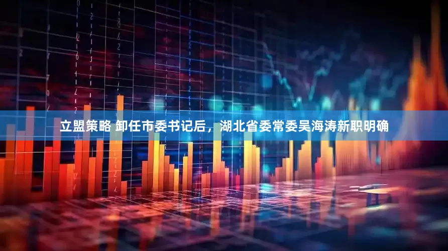立盟策略 卸任市委书记后，湖北省委常委吴海涛新职明确
